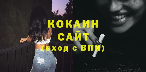 ПСИЛОЦИБИНОВЫЕ ГРИБЫ Вяземский