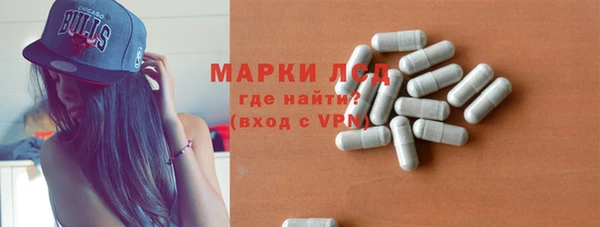 ПСИЛОЦИБИНОВЫЕ ГРИБЫ Вяземский