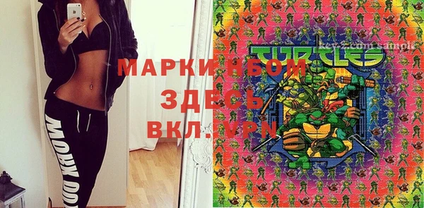 spice Горняк