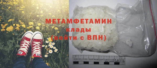 ПСИЛОЦИБИНОВЫЕ ГРИБЫ Вяземский