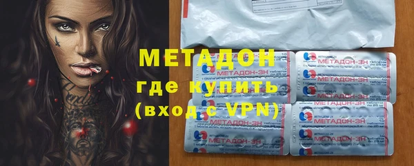 ПСИЛОЦИБИНОВЫЕ ГРИБЫ Вяземский
